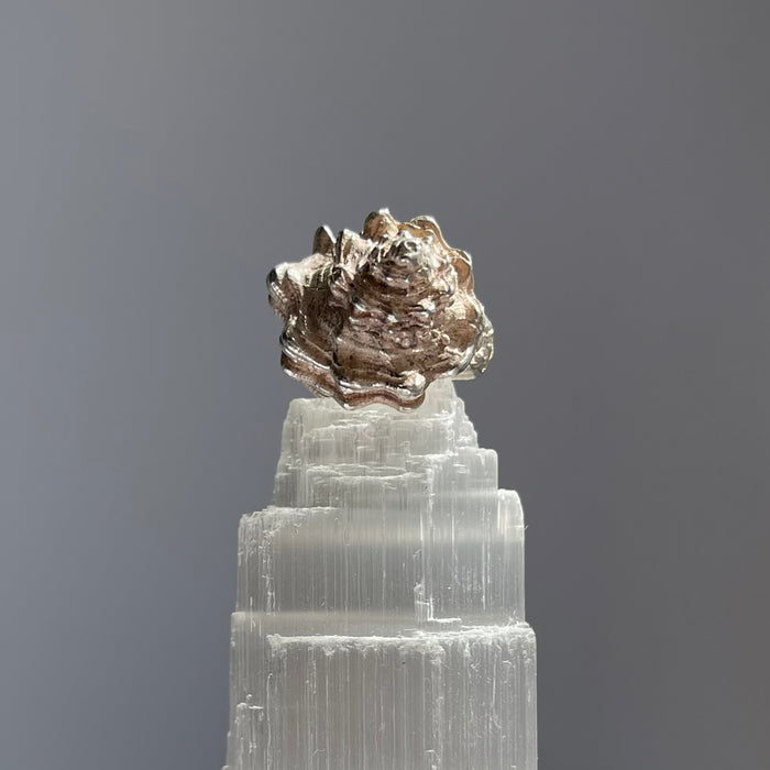 antique ring Shella